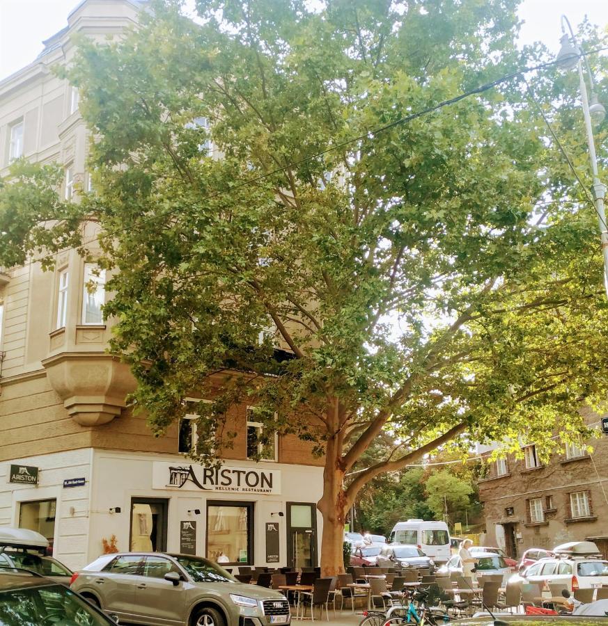 Cozy Nest Appartamento *